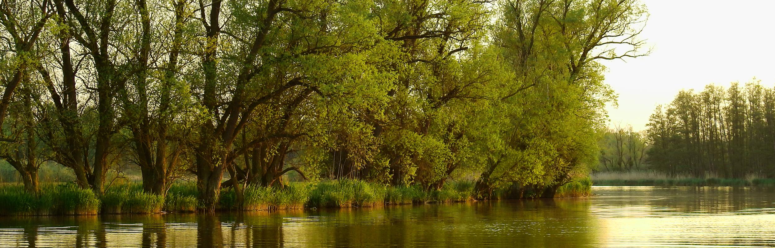 Grünspektrum® Landschaftsbild Grünspektrum® Landschaftsbild